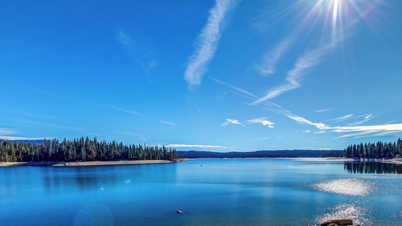 Photo of Others in Shaver Lake