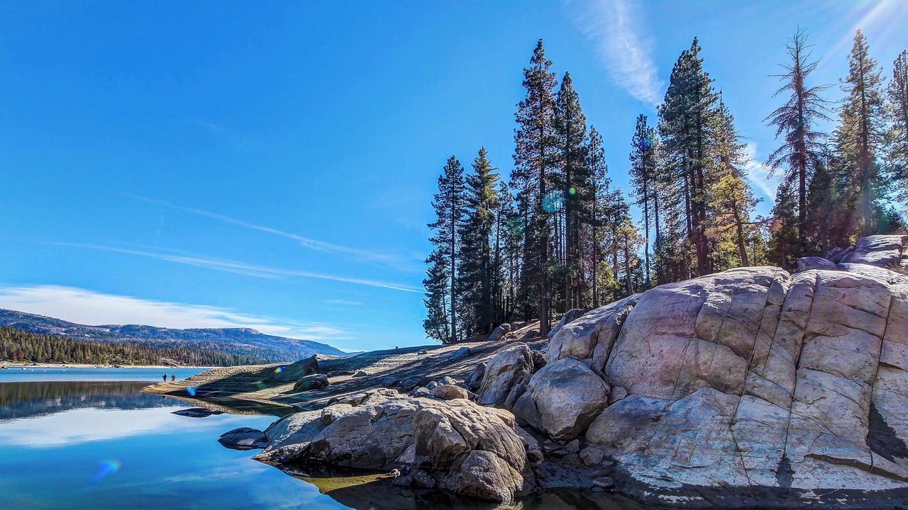 Photo of Others in Shaver Lake