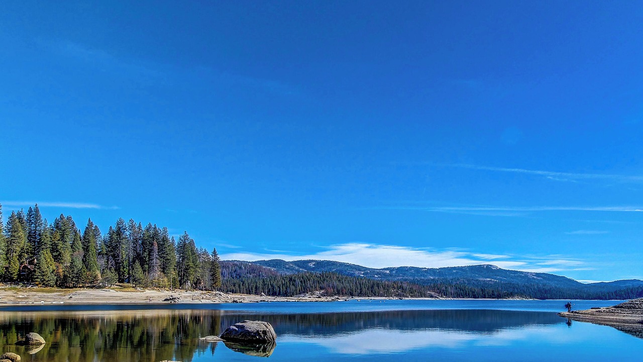 Photo of Others in Shaver Lake