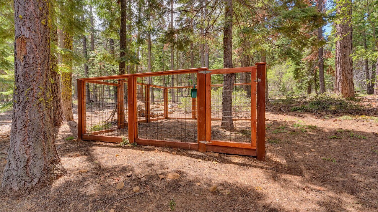 Photo of Outdoor in Tahoe Woods