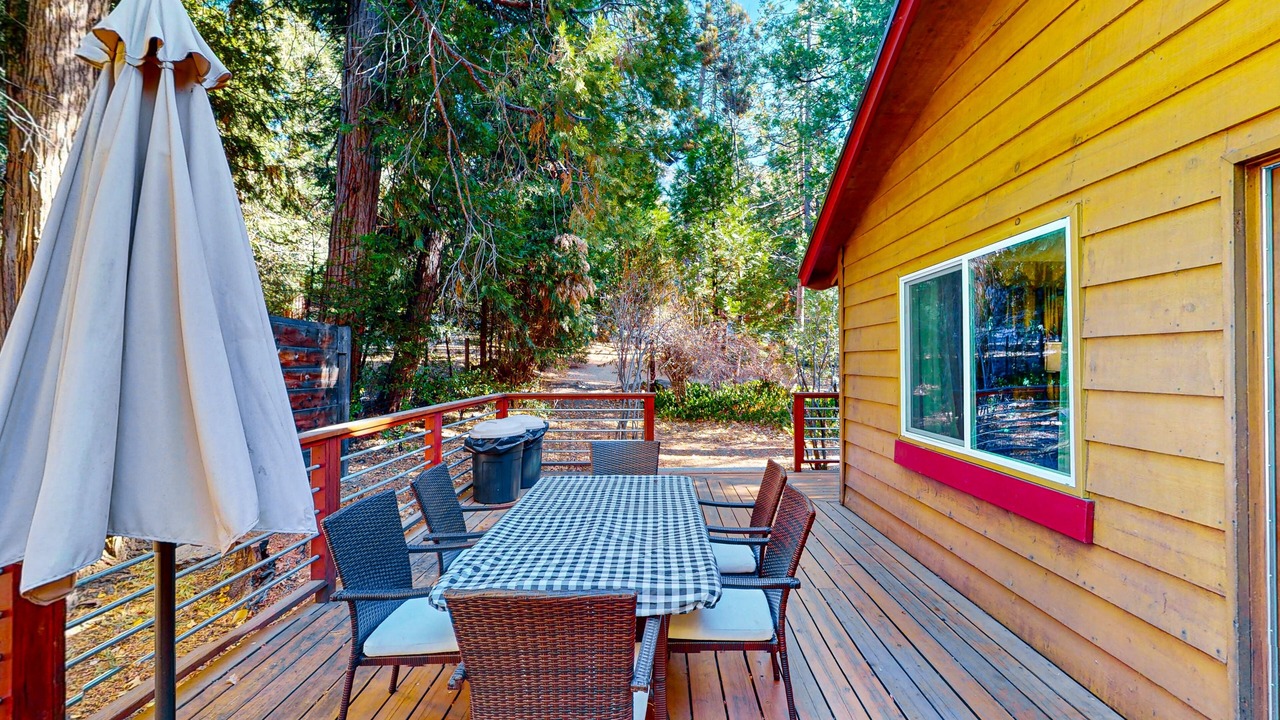 Photo of Outdoor in Fern Valley