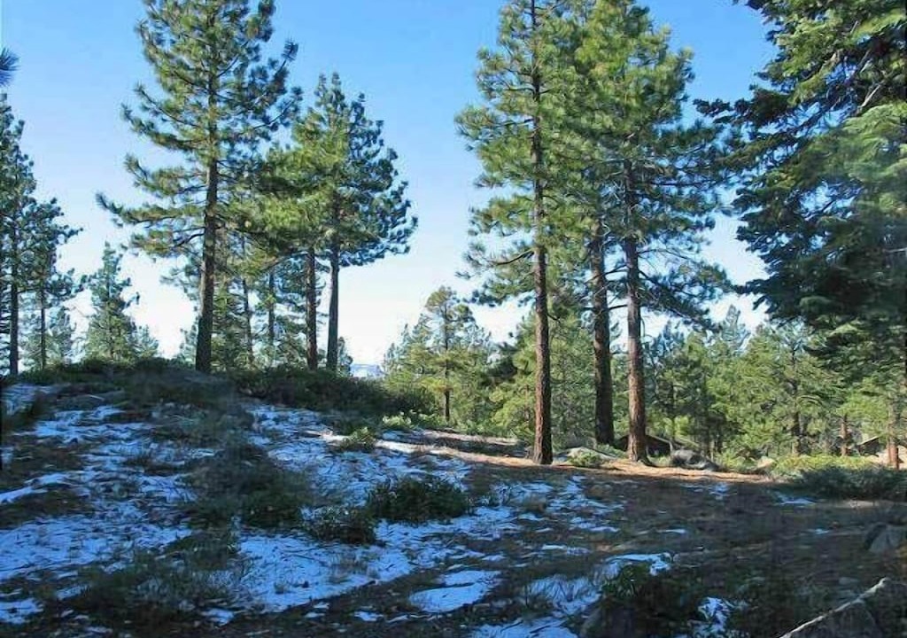 Photo of Outdoor in Tahoe Tyrol