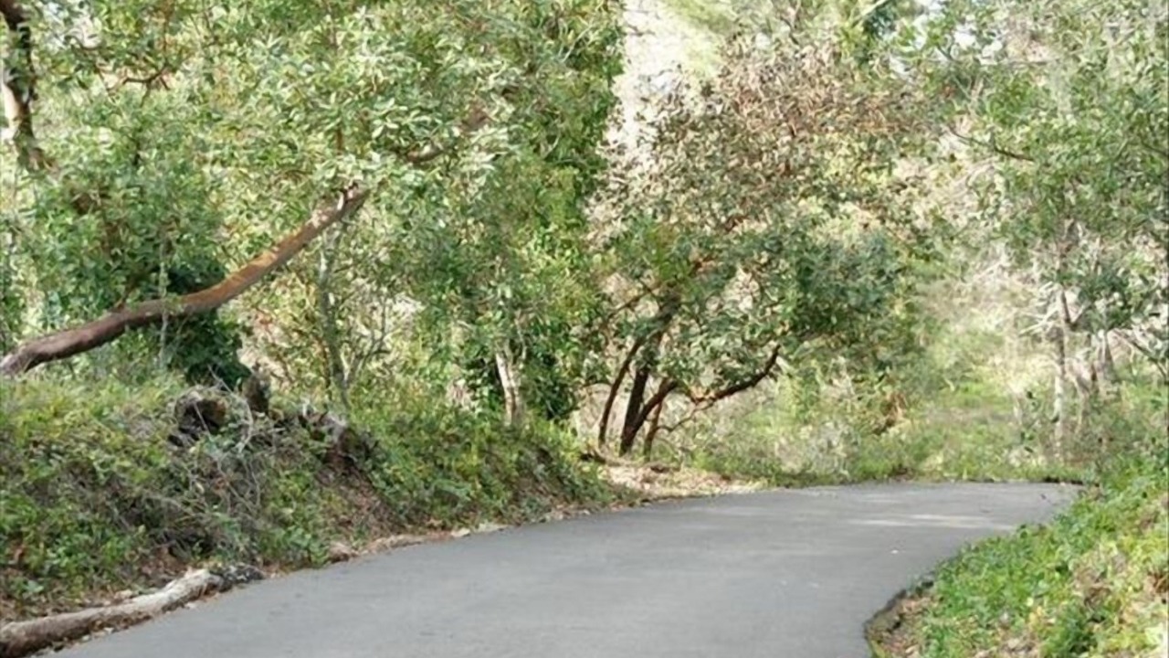 Photo of Outdoor in Eldridge