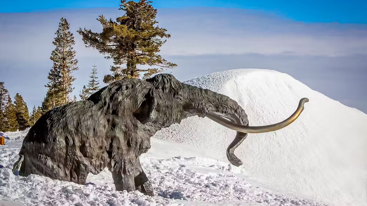 Photo of Others in Mammoth Lakes