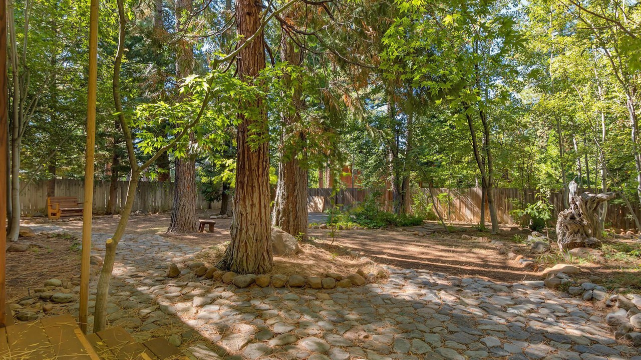 Photo of Outdoor in Lake Forest