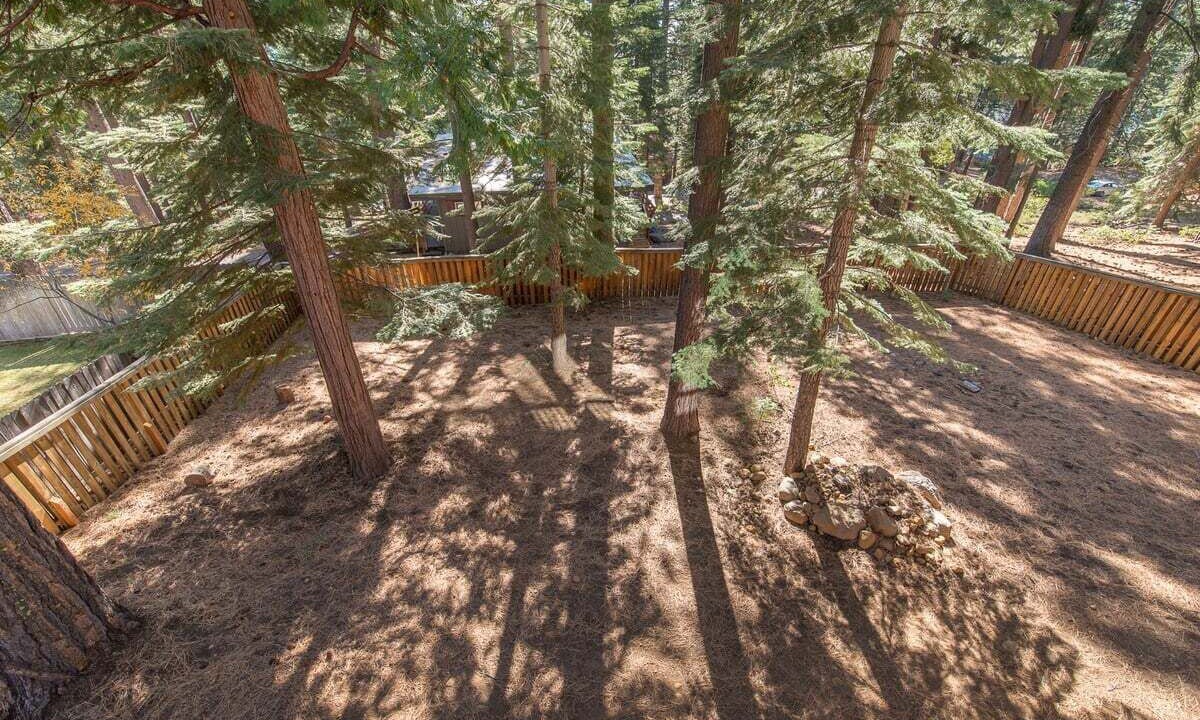 Photo of Others in Tahoe Woods