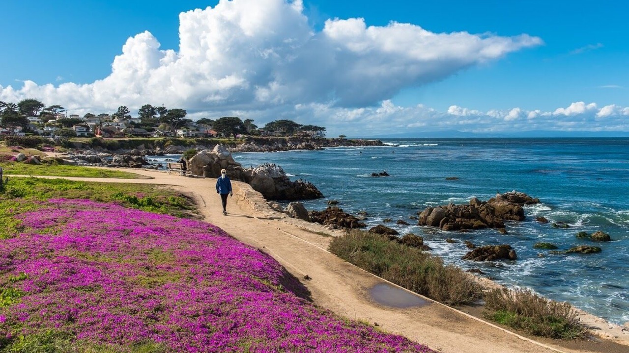 Photo of Others in Northeast Carmel