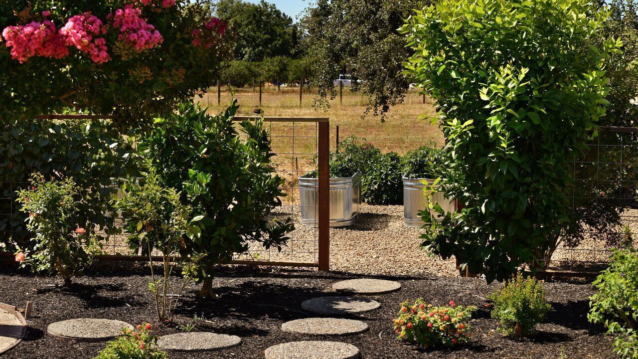 Photo of Others in Sonoma