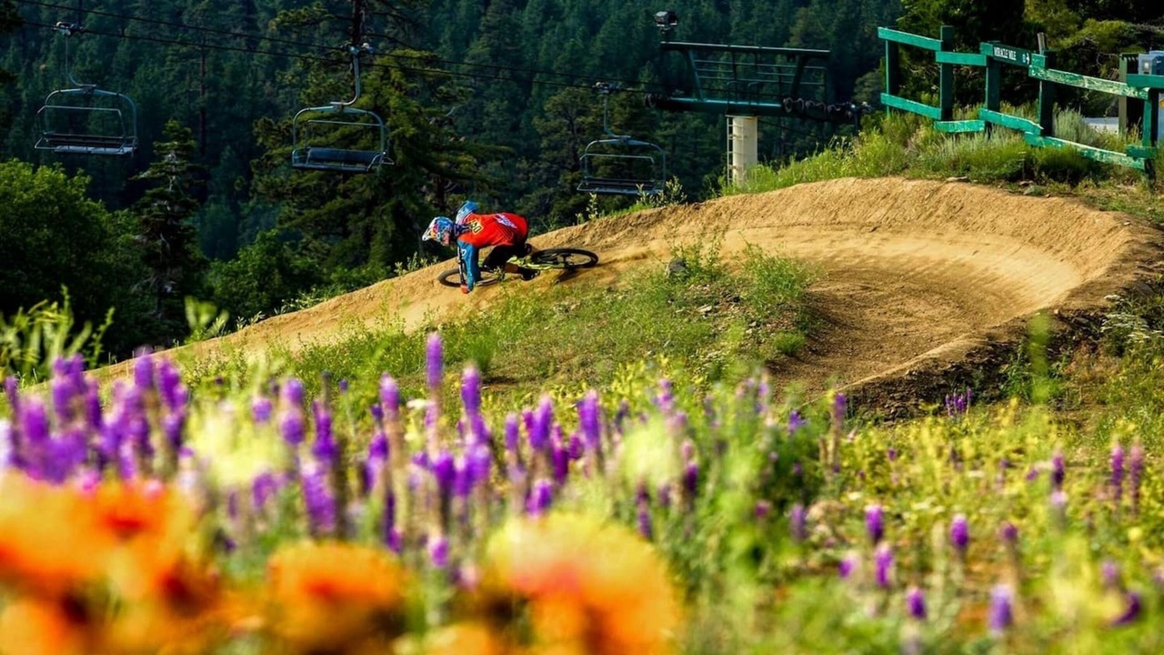 Photo of Outdoor in Big Bear City