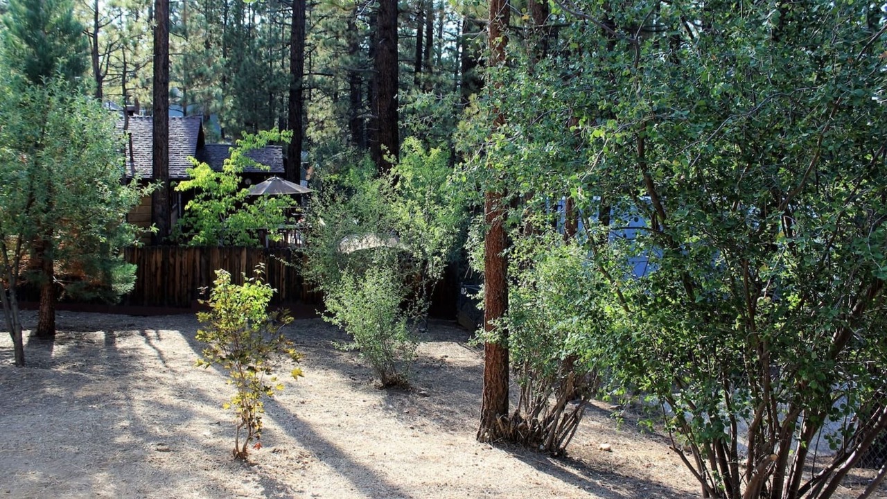 Photo of Outdoor in Big Bear City