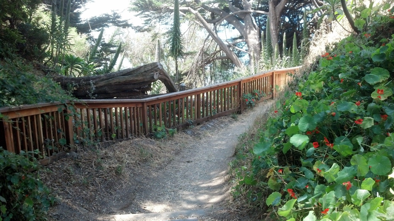 Photo of Others in Aptos