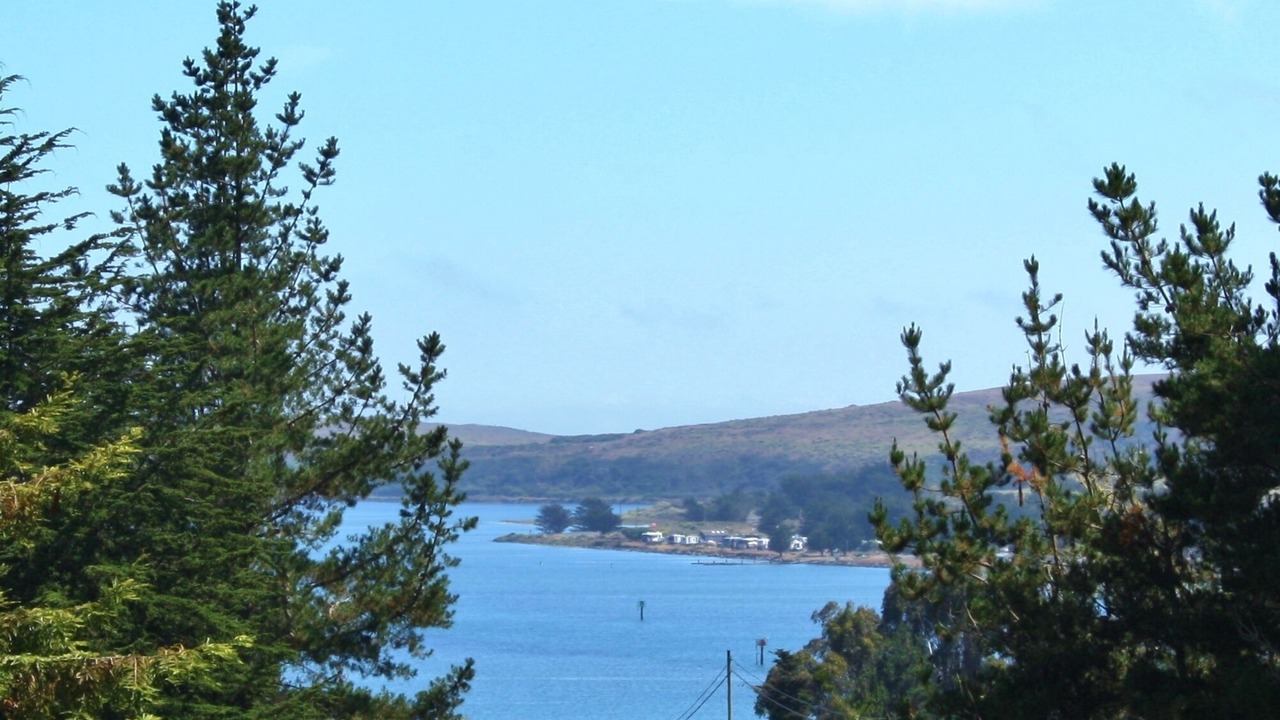 Photo of Bedroom in Bodega Bay