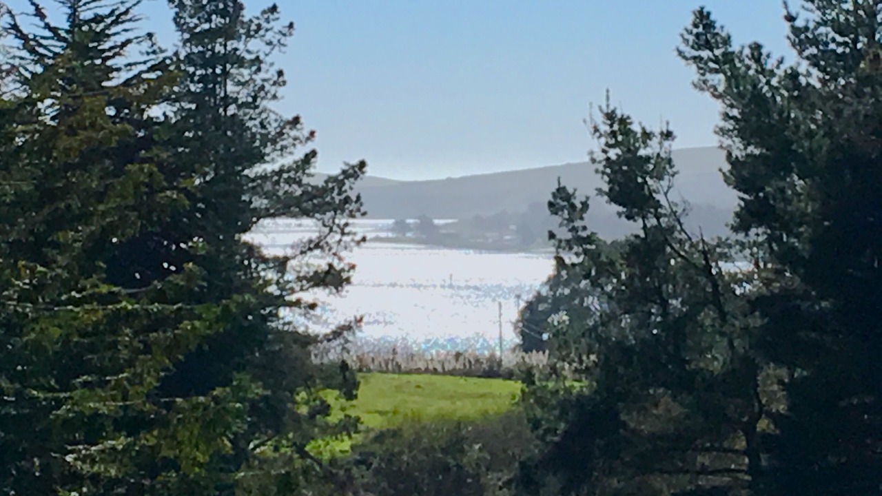 Photo of Others in Bodega Bay