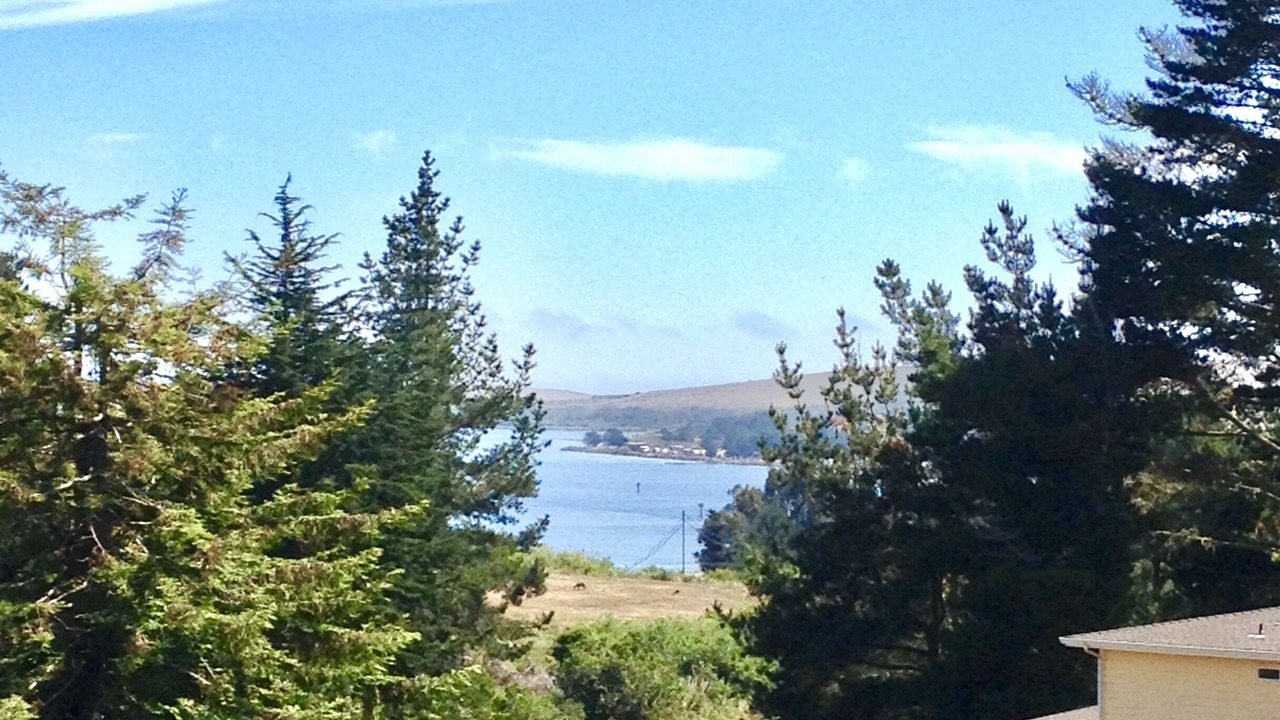 Photo of Others in Bodega Bay