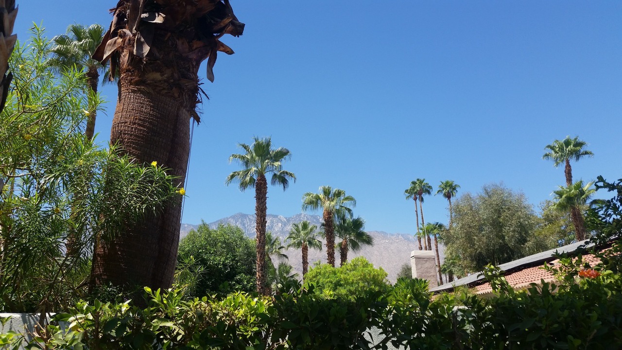 Photo of Outdoor in Araby