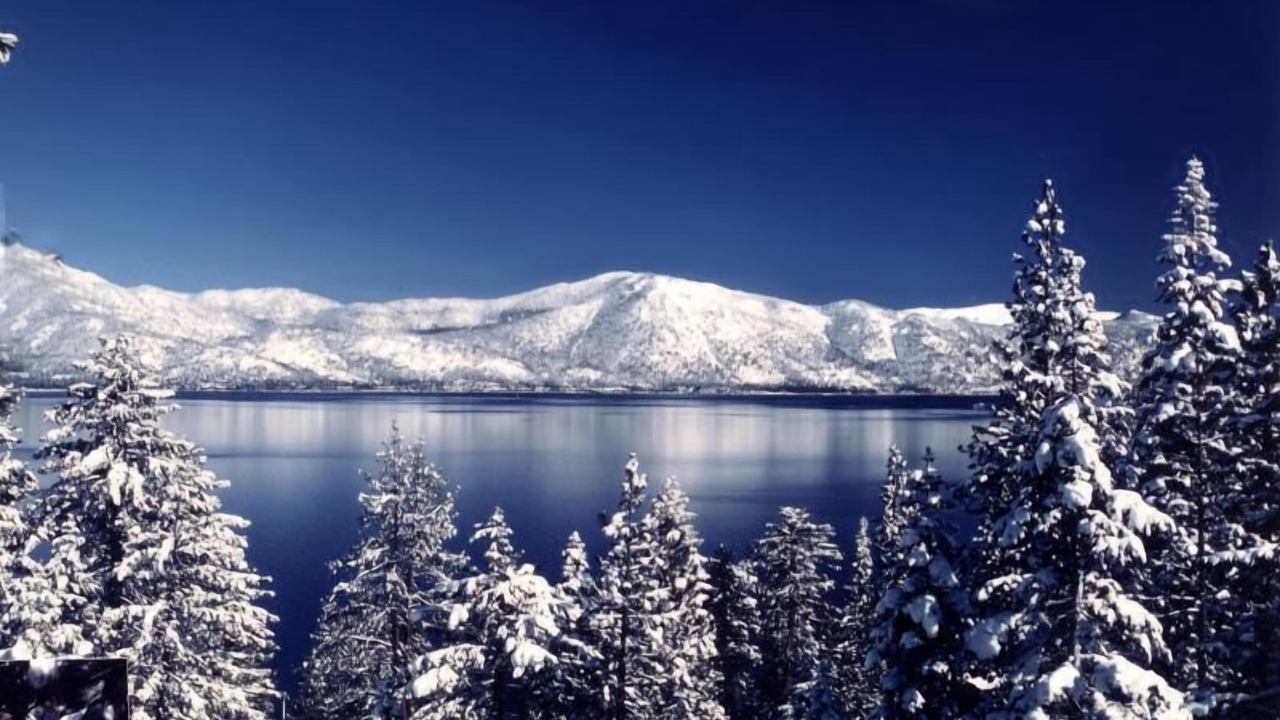 Photo of Others in Al Tahoe