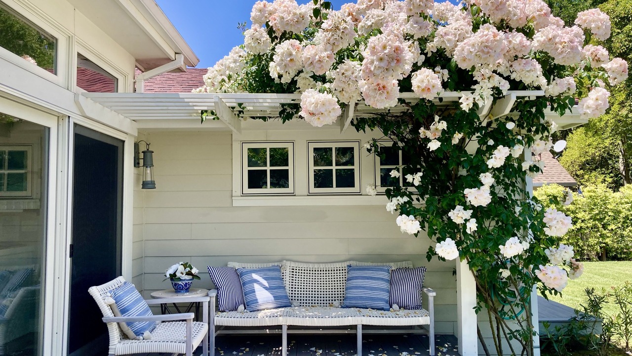 Photo of Outdoor in Sonoma