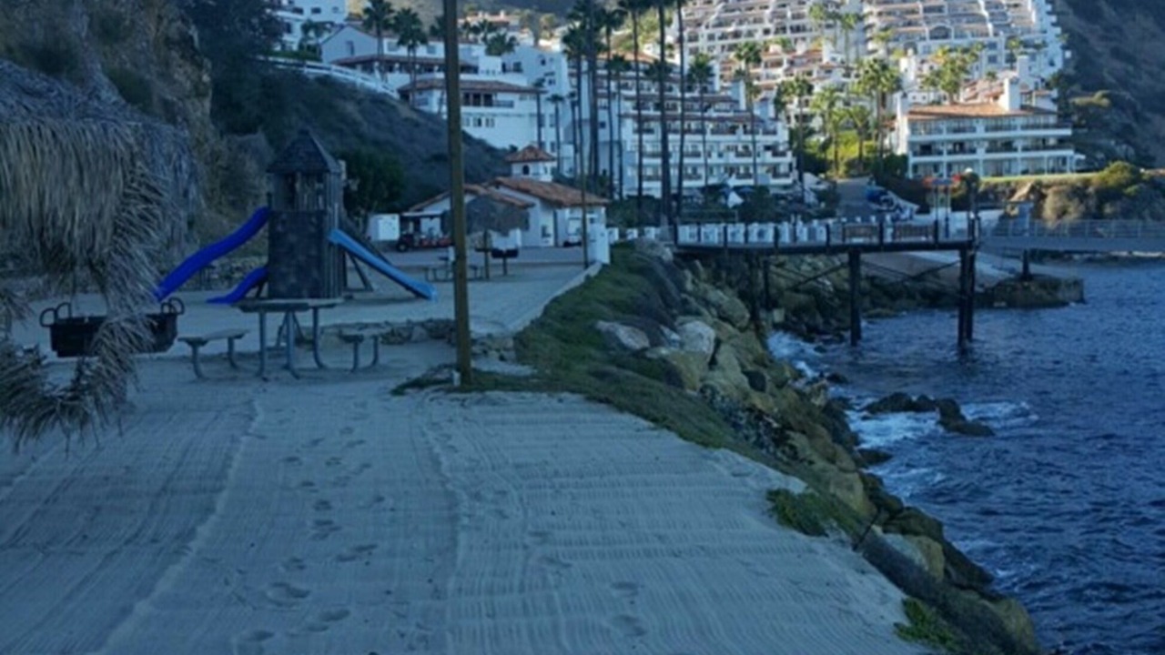Photo of Others in Avalon