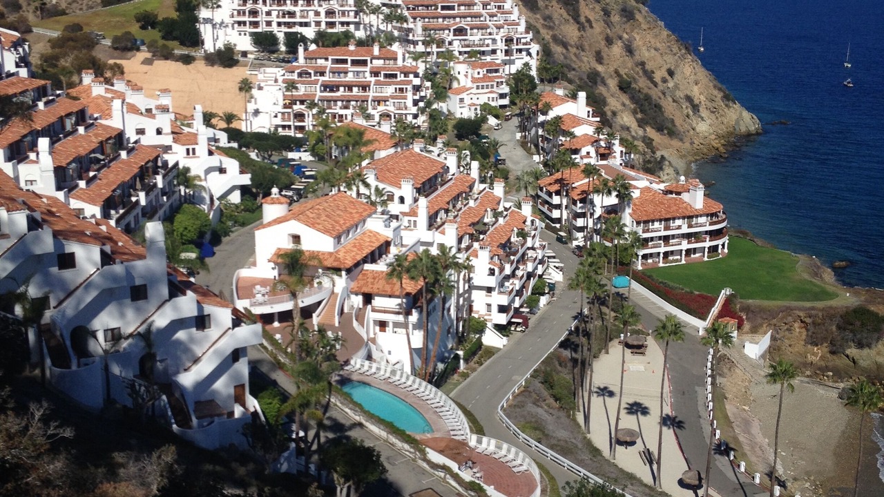 Photo of Others in Avalon