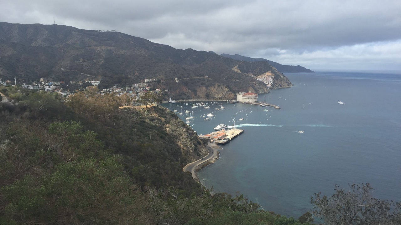 Photo of Others in Avalon