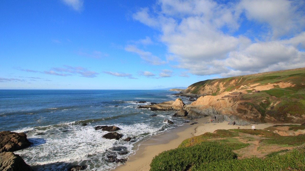 Photo of Others in Bodega Bay