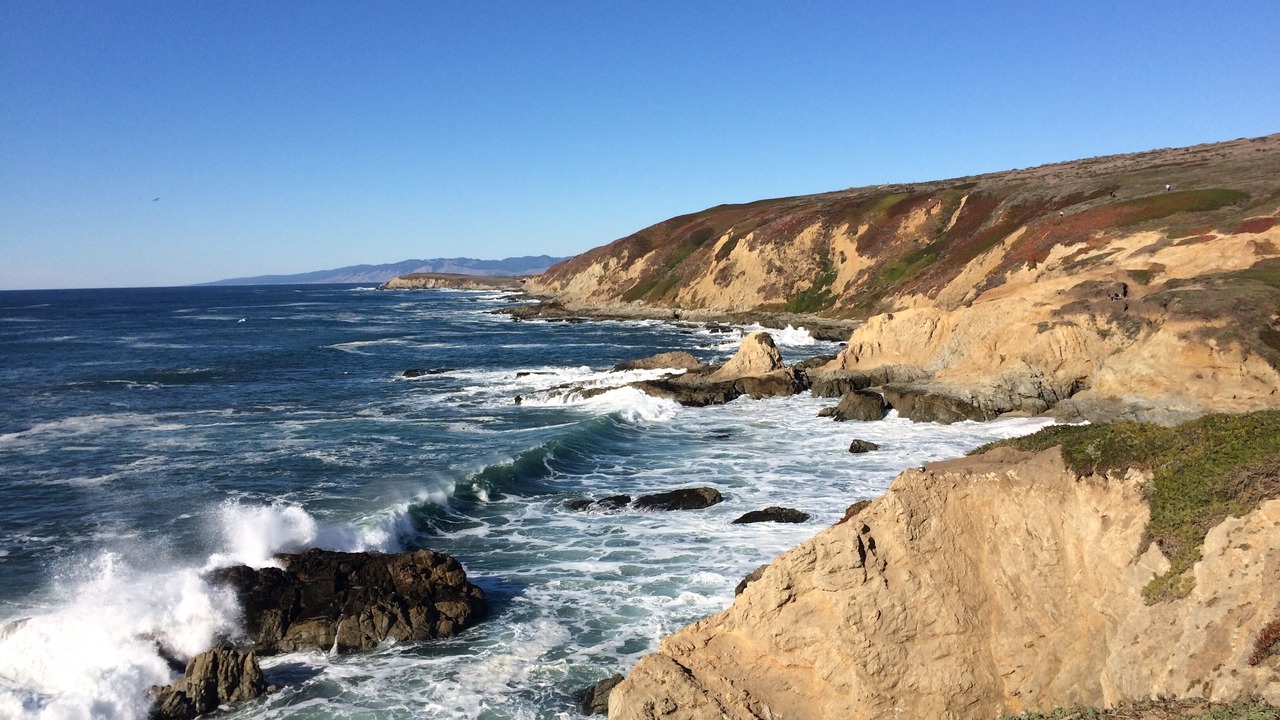 Photo of Others in Bodega Bay