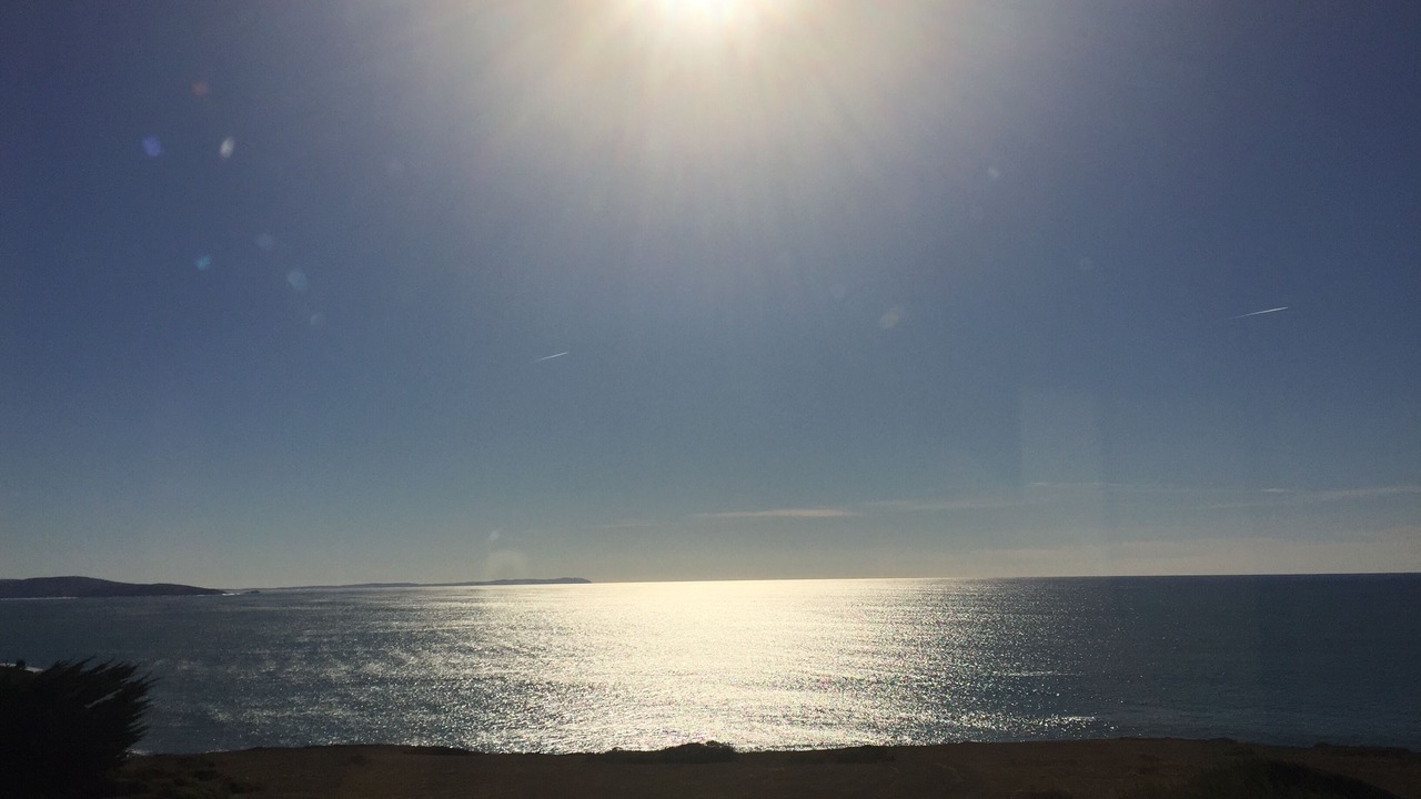 Photo of Others in Bodega Bay