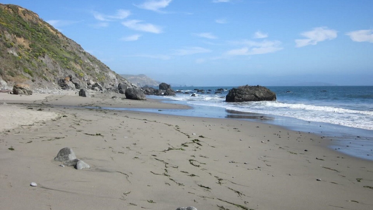 Photo of Others in Bodega Bay