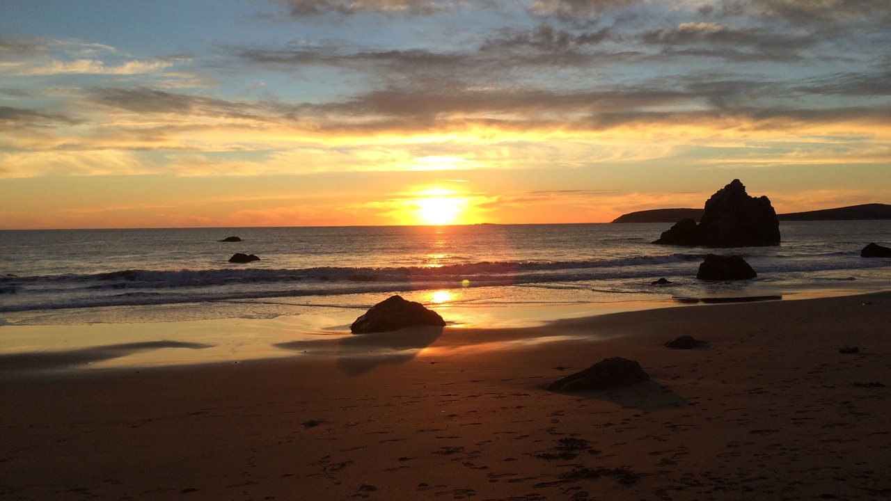 Photo of Others in Bodega Bay