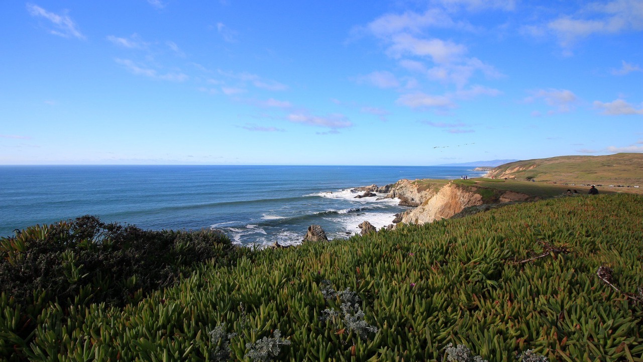 Photo of Others in Bodega Bay