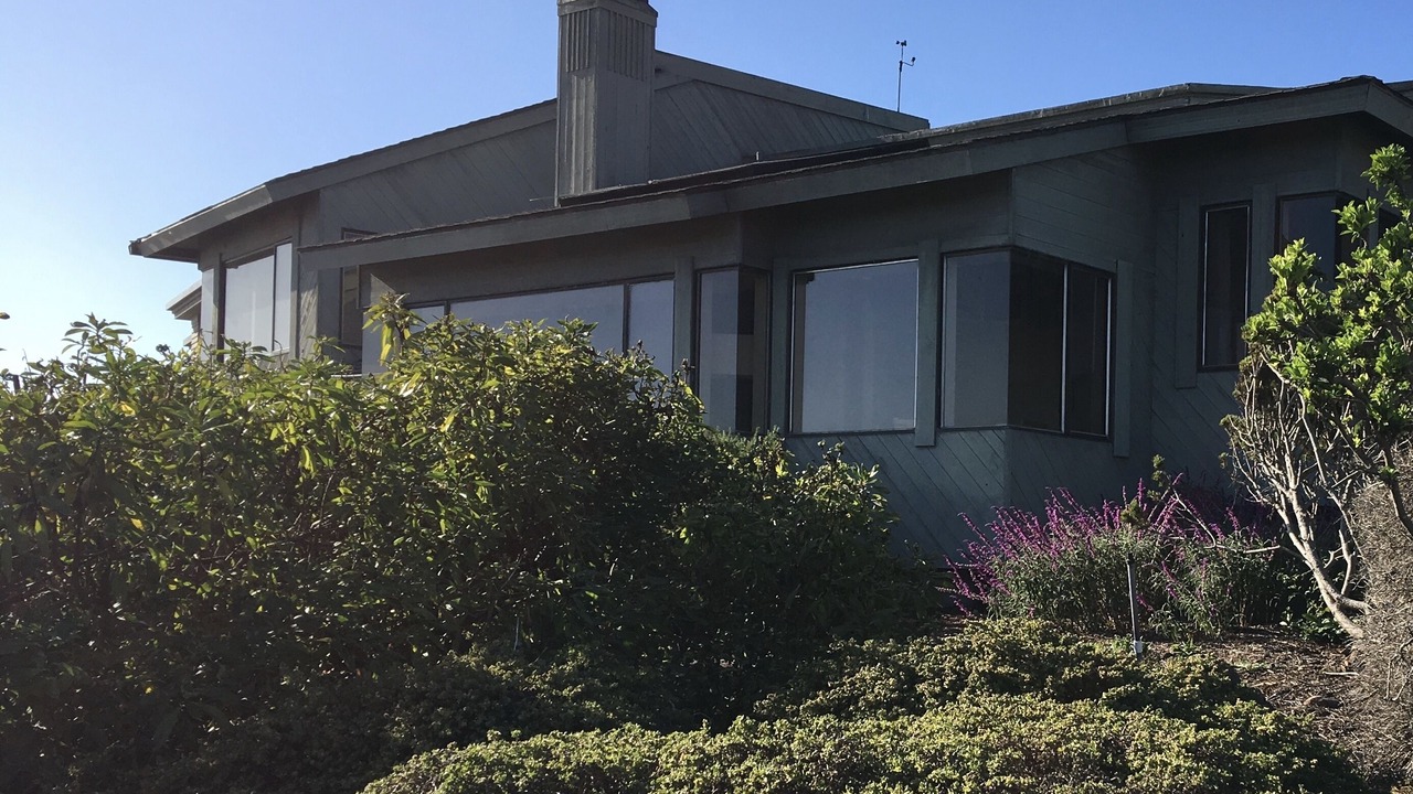 Photo of Outdoor in Bodega Bay