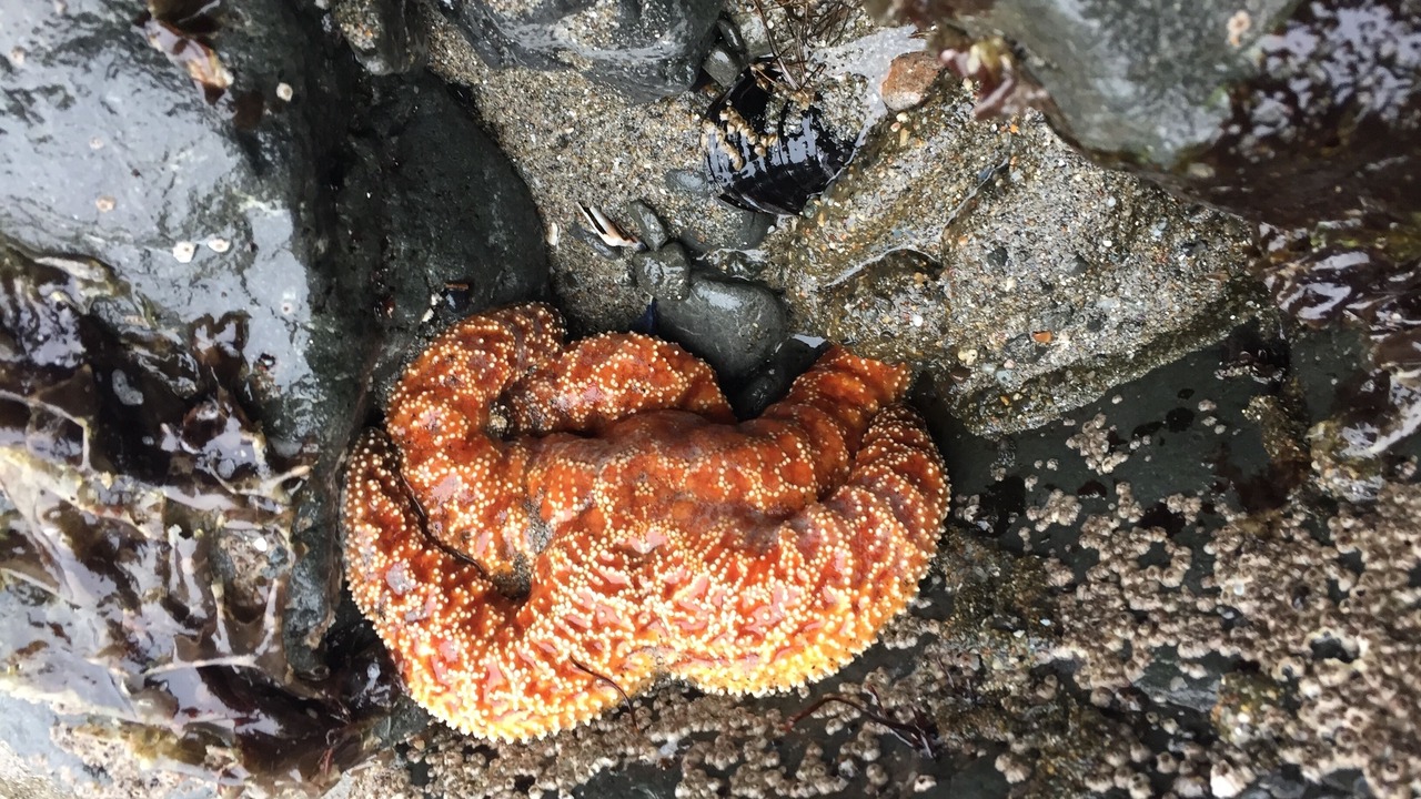 Photo of Outdoor in Bodega Bay