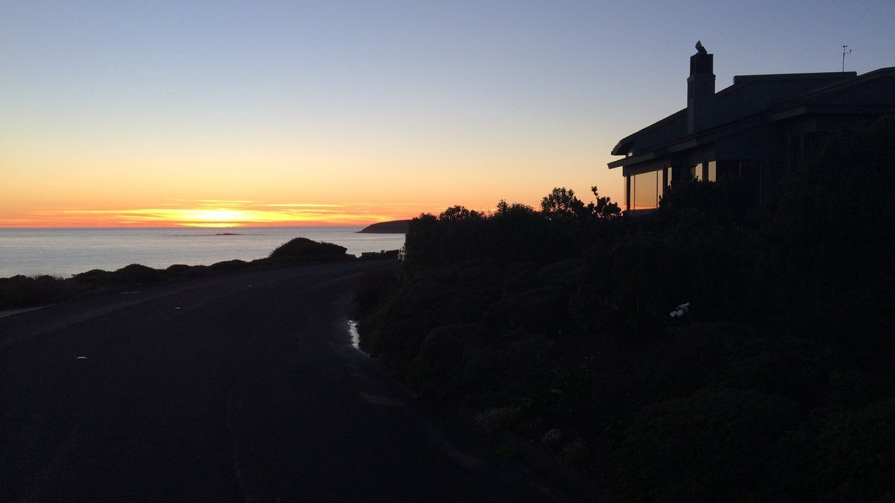 Photo of Others in Bodega Bay