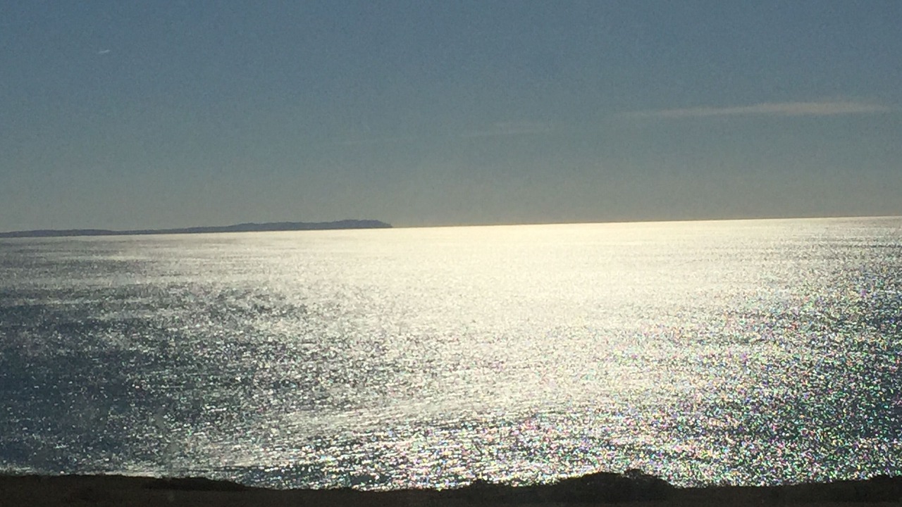 Photo of Others in Bodega Bay