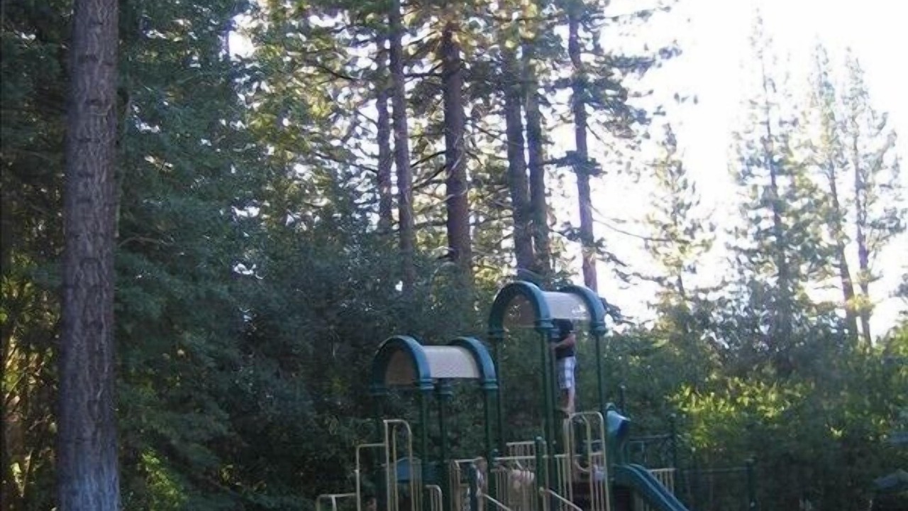 Photo of Others in Truckee