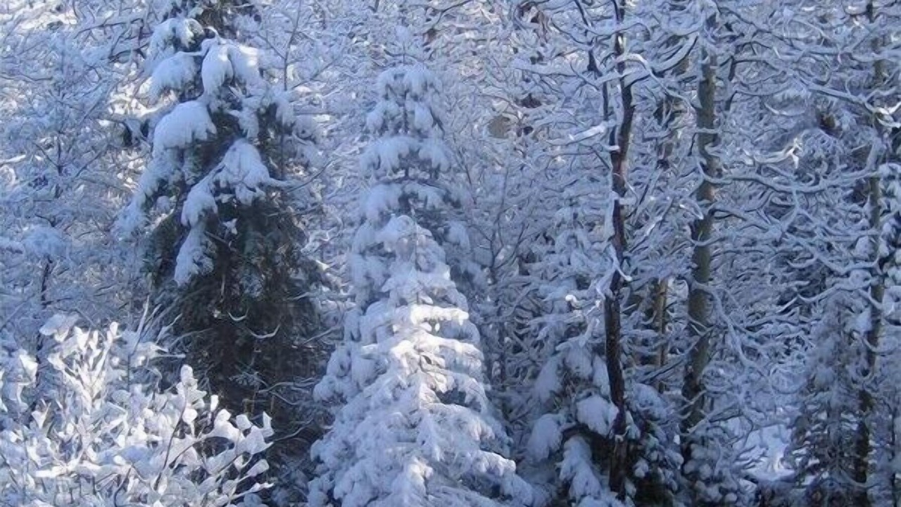 Photo of Others in Truckee
