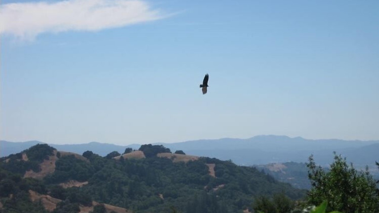Photo of Others in Santa Rosa