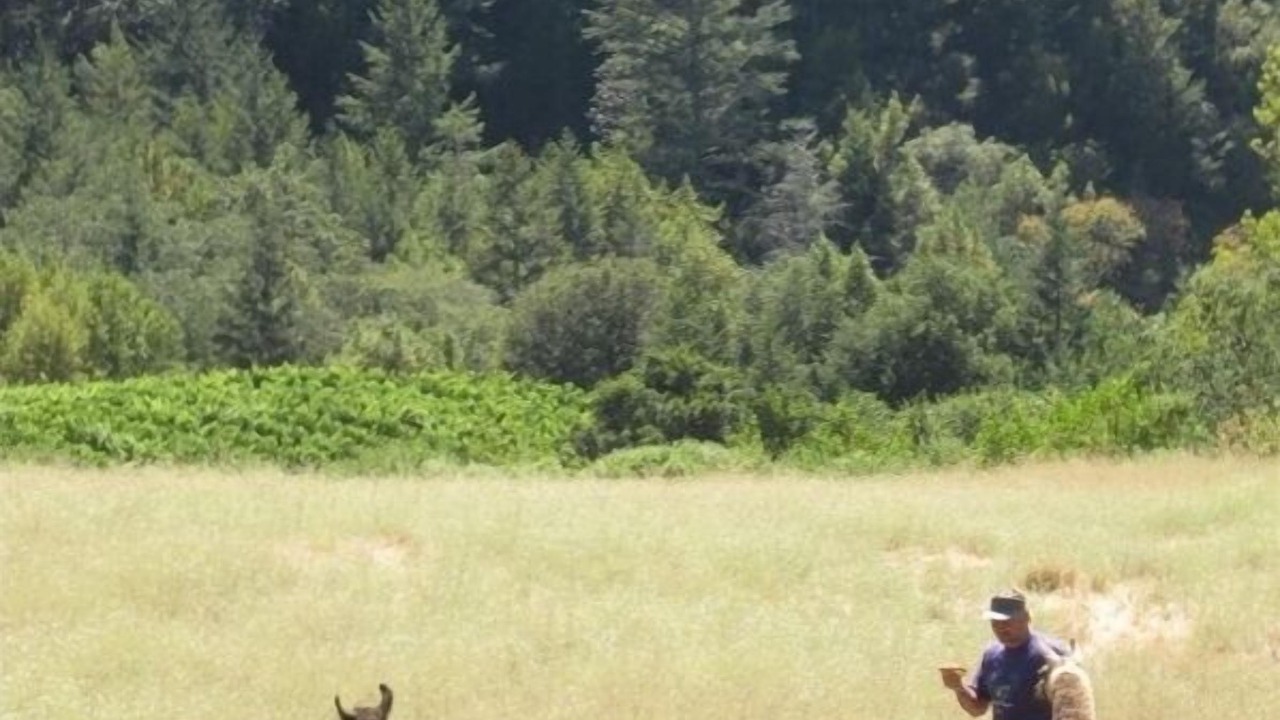 Photo of Others in Santa Rosa