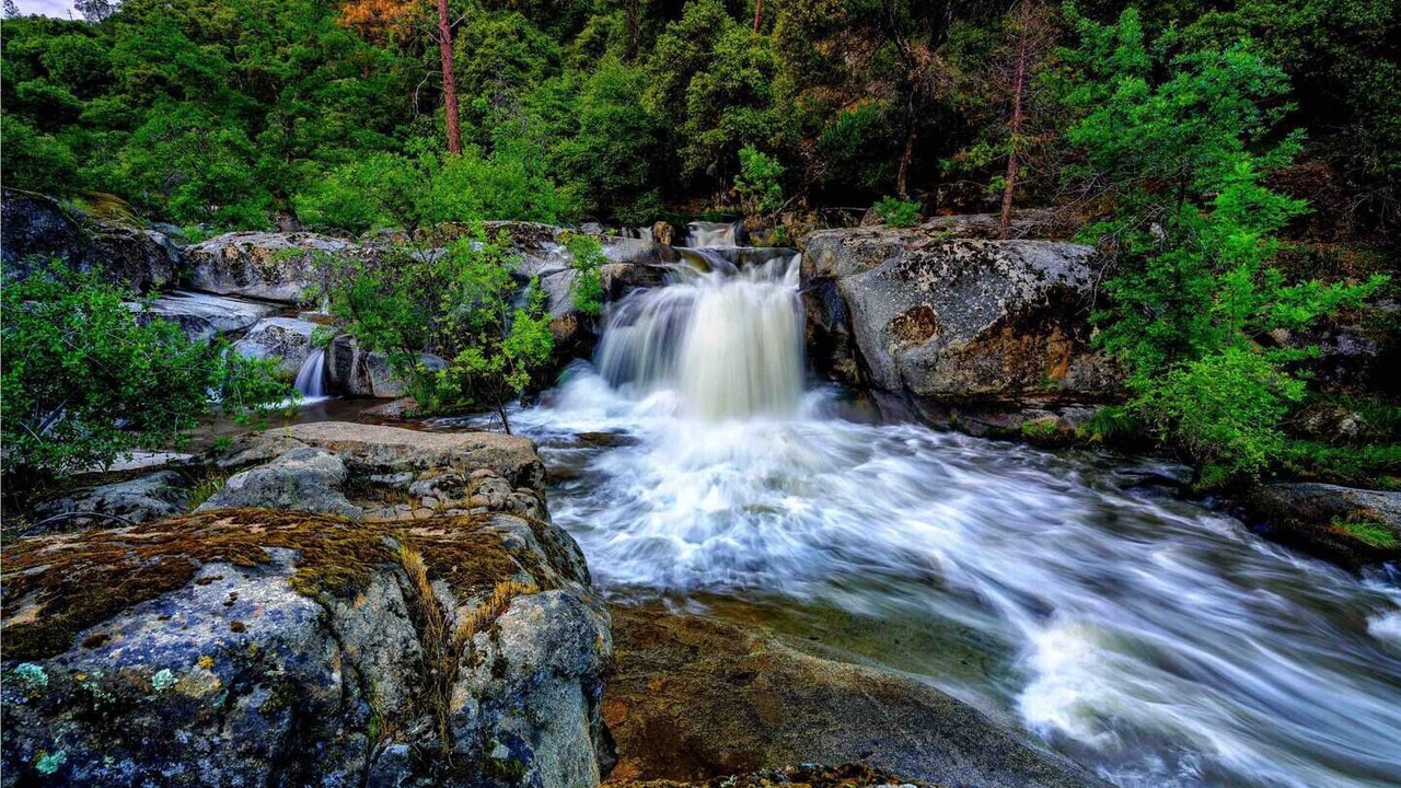 Photo of Others in Yosemite Forks