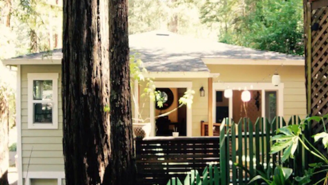 Photo of Outdoor in Rio Nido
