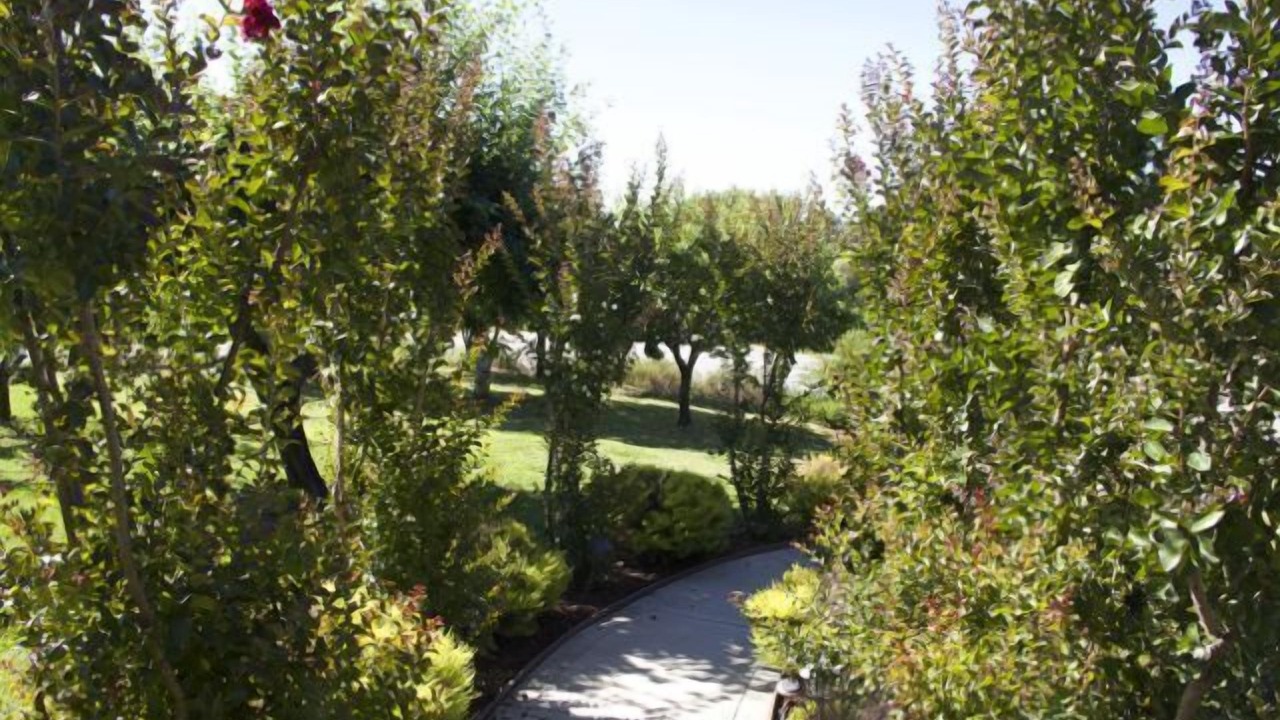 Photo of Outdoor in North Auburn