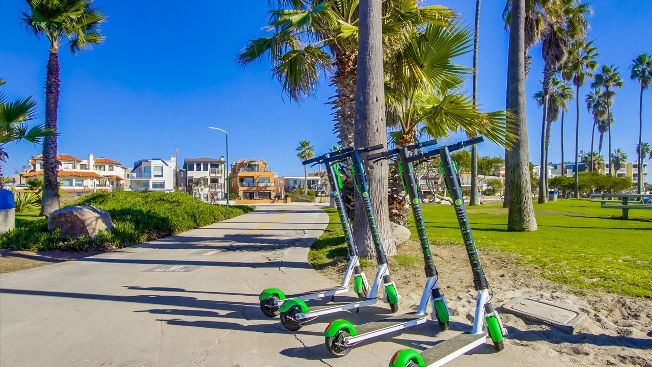 Photo of Outdoor in South Mission Beach