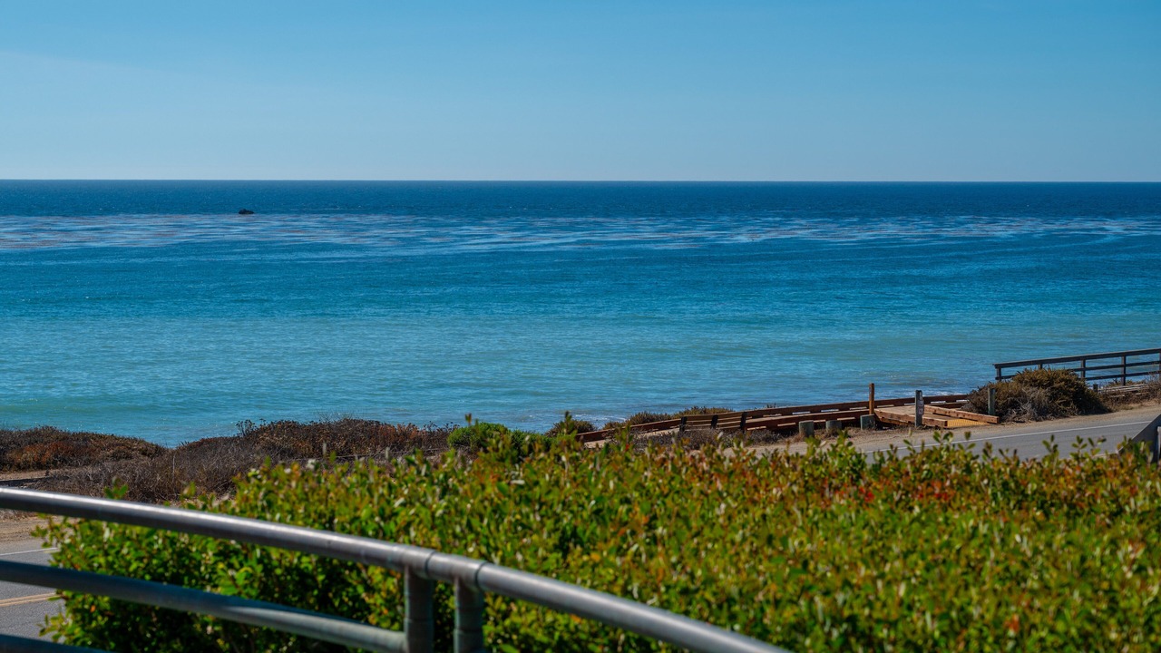 Photo of Others in San Simeon