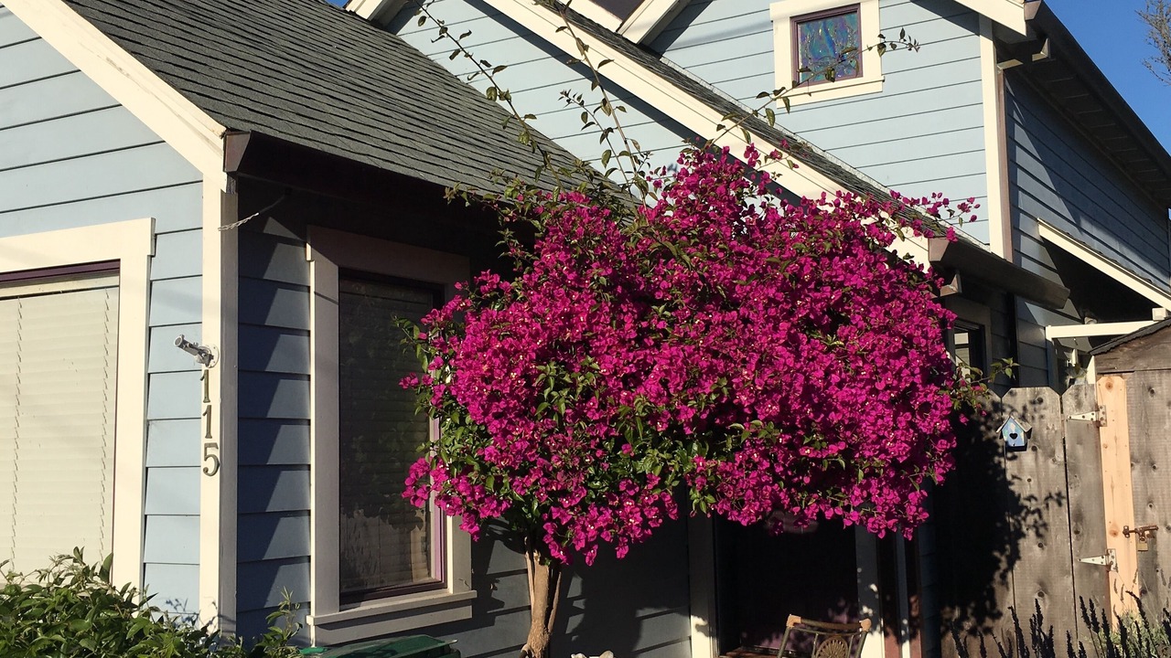 Photo of Others in Pacific Grove