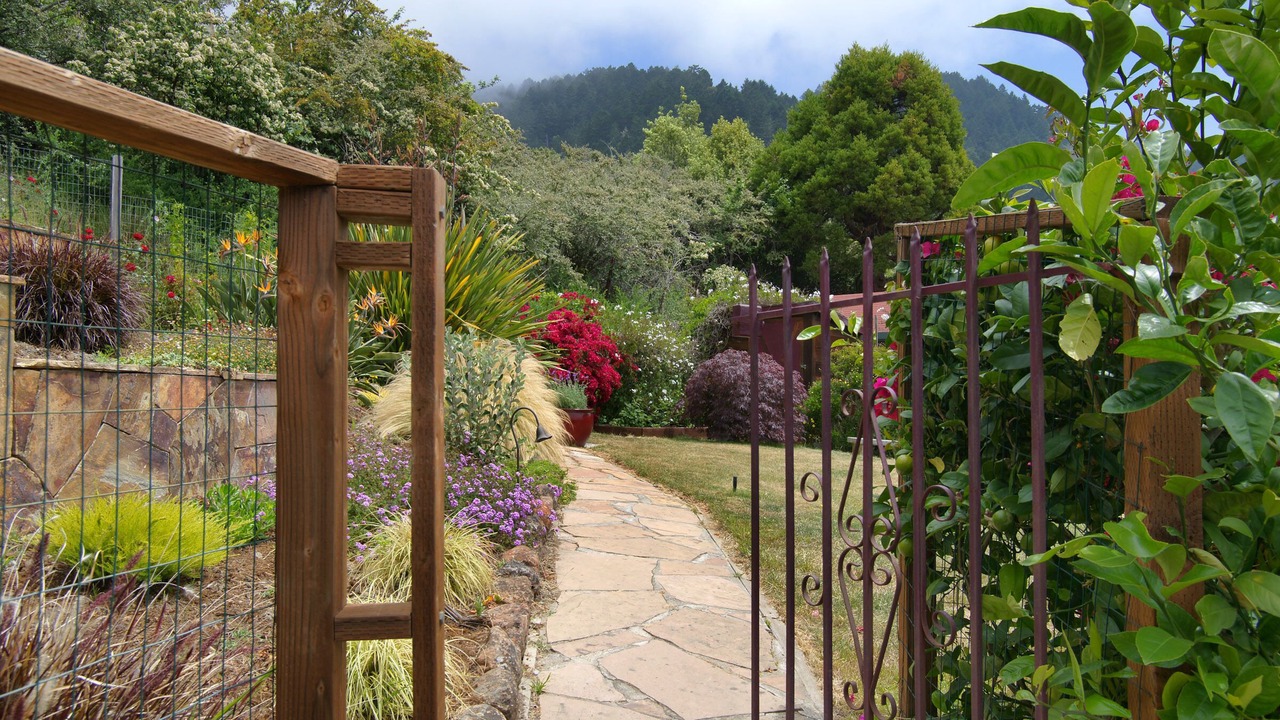 Photo of Outdoor in Stinson Beach