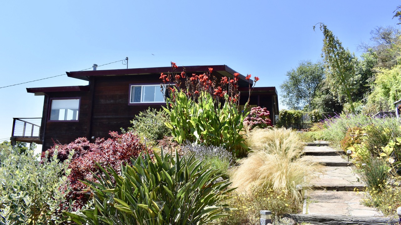 Photo of Outdoor in Stinson Beach
