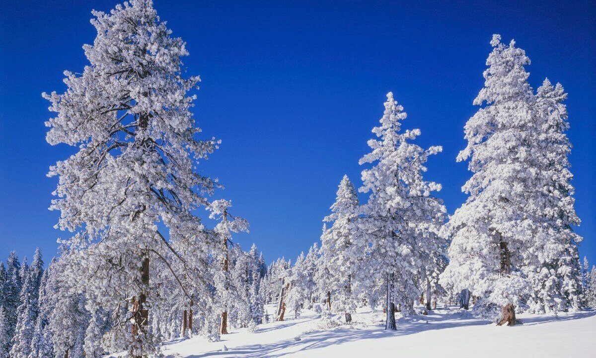 Photo of Others in Tahoma