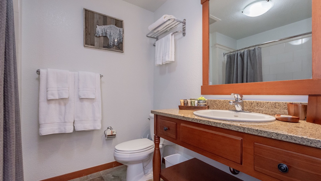 Photo of Bathroom in Mammoth Lakes