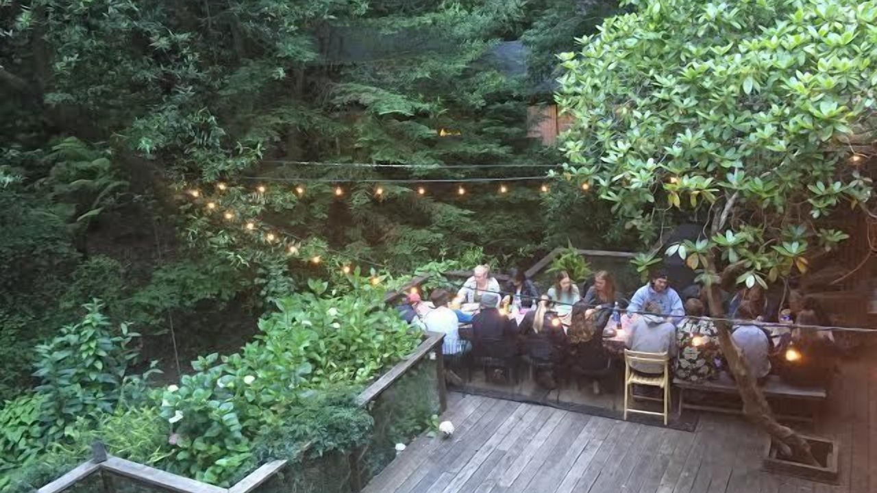 Photo of Outdoor in Mill Valley
