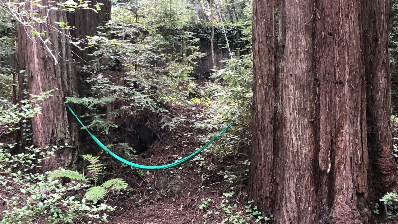 Photo of Others in Mill Valley